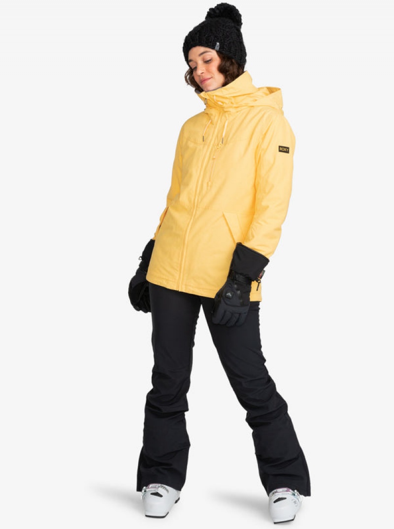 Roxy Rising High Technical Snowboardhosen | 73042-MSTR