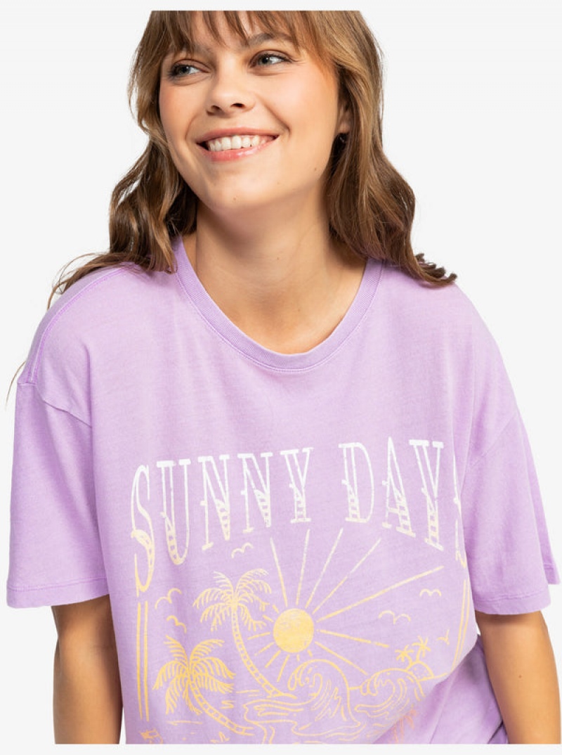 Roxy Sunny Days Oversized T-shirts | 32869-IFTH