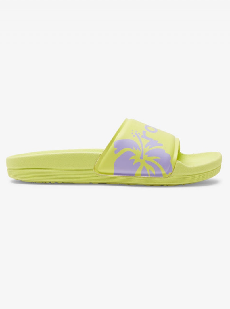 Roxy Surf.Kind.Kate. Slippy Sandalen | 79615-PRVB