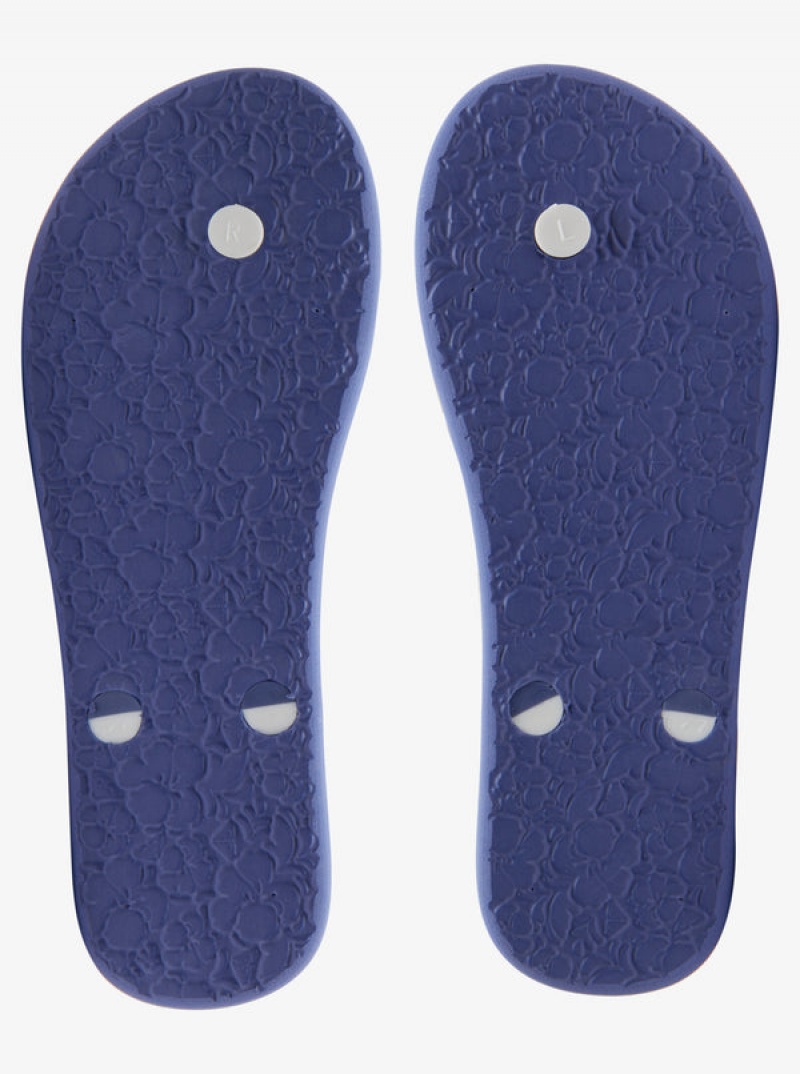 Roxy Tahiti Flip Flops | 05396-RPFX