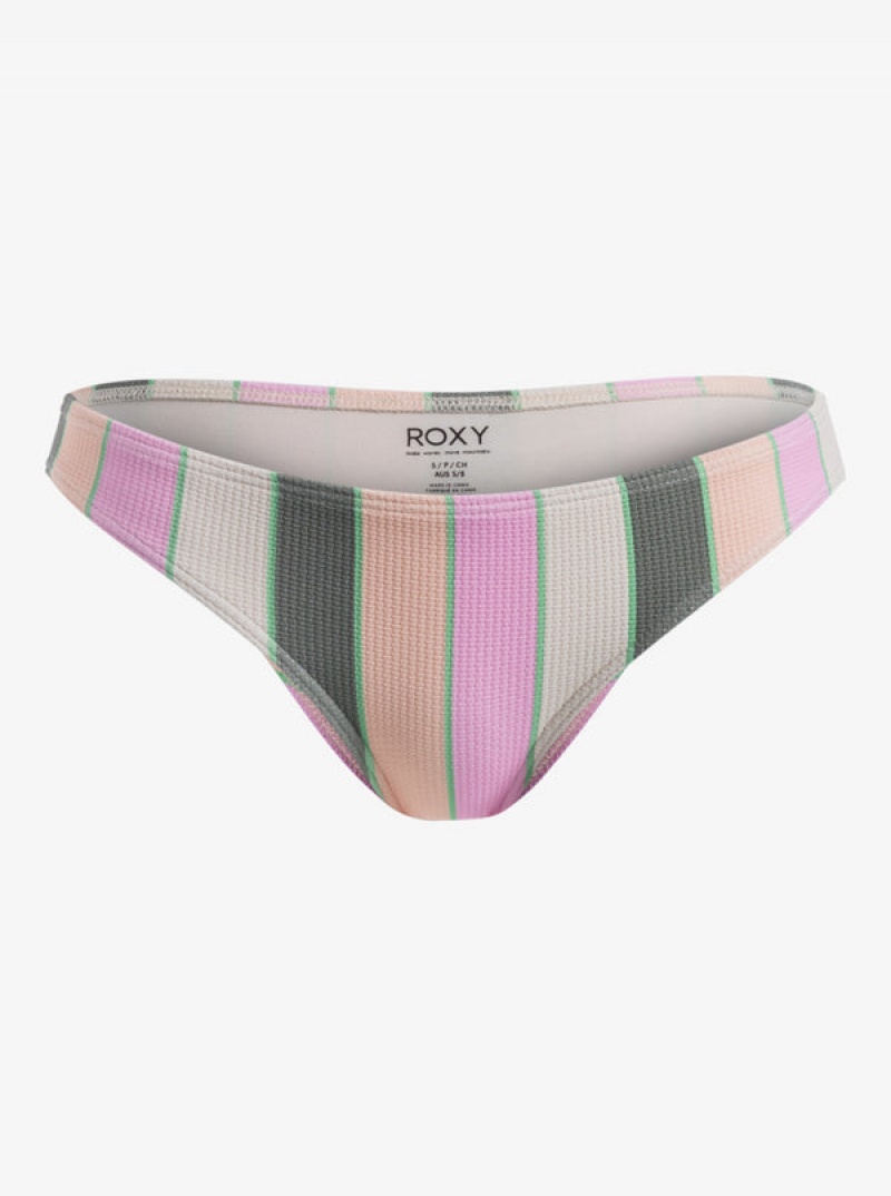 Roxy Vista Stripe Medium Bikinihosen | 19327-HRYW