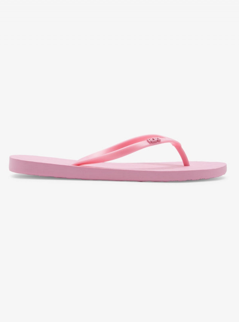 Roxy Viva Flip Flops | 10685-UGOB