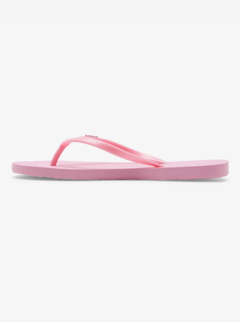 Roxy Viva Flip Flops | 10685-UGOB