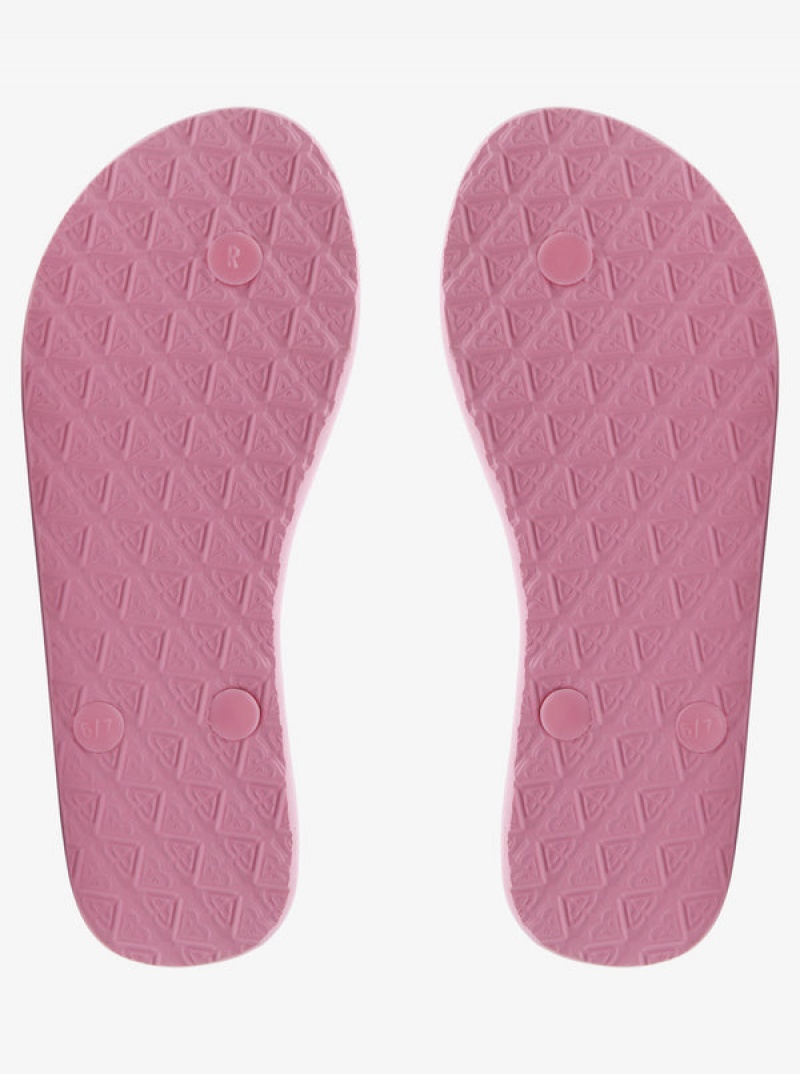 Roxy Viva Flip Flops | 10685-UGOB