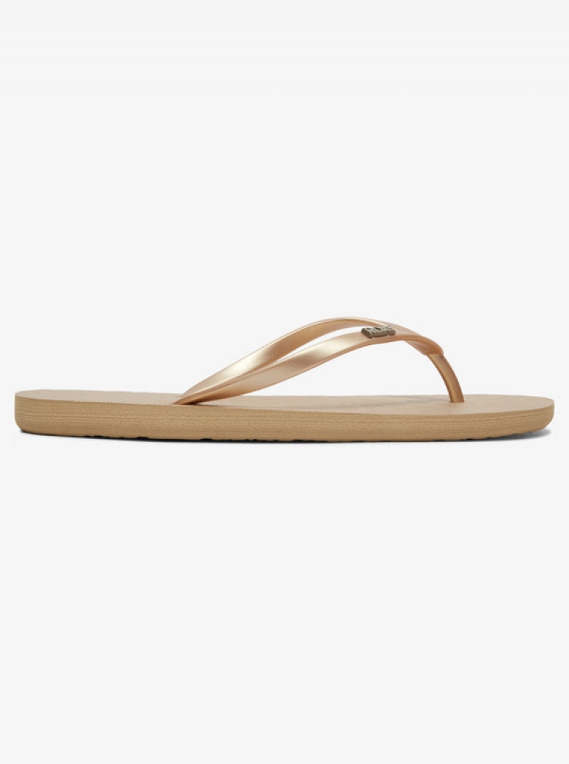 Roxy Viva Flip Flops | 39621-IULV