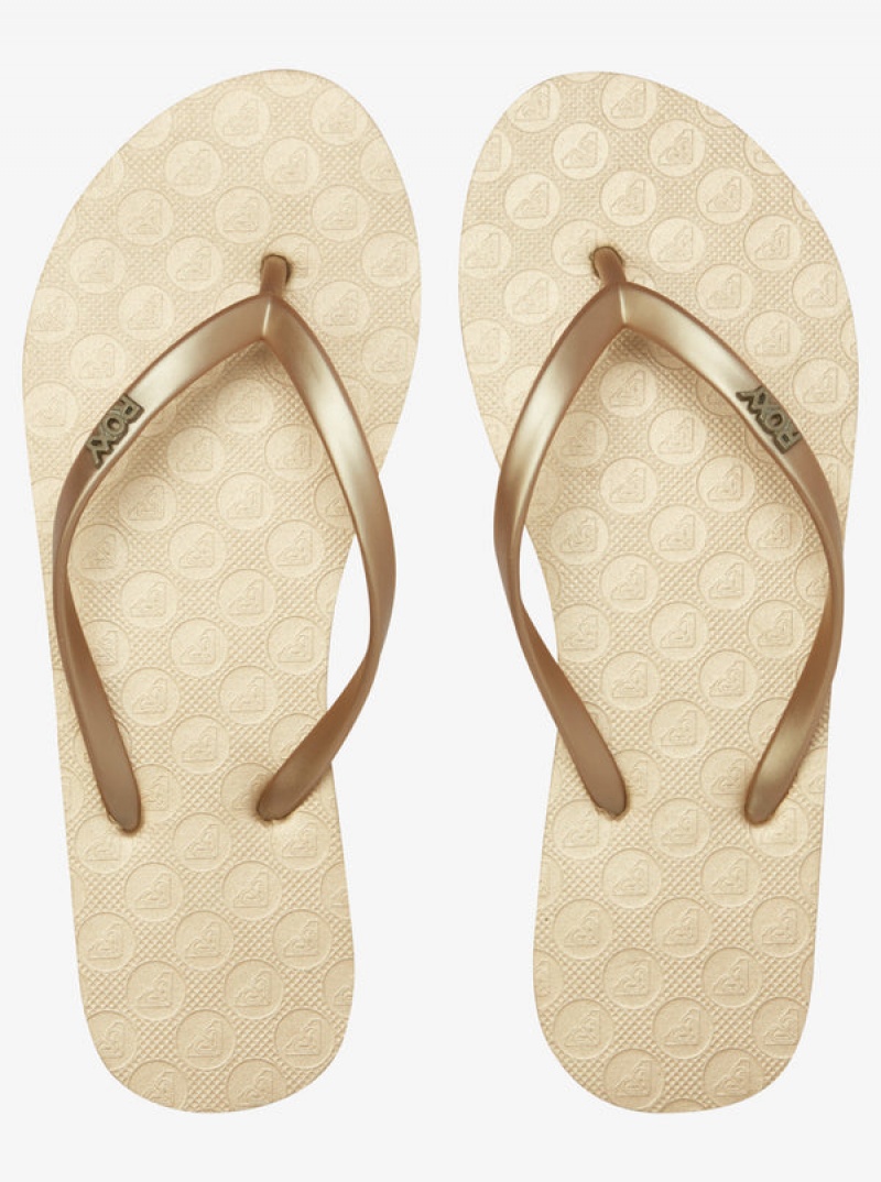 Roxy Viva Flip Flops | 39621-IULV