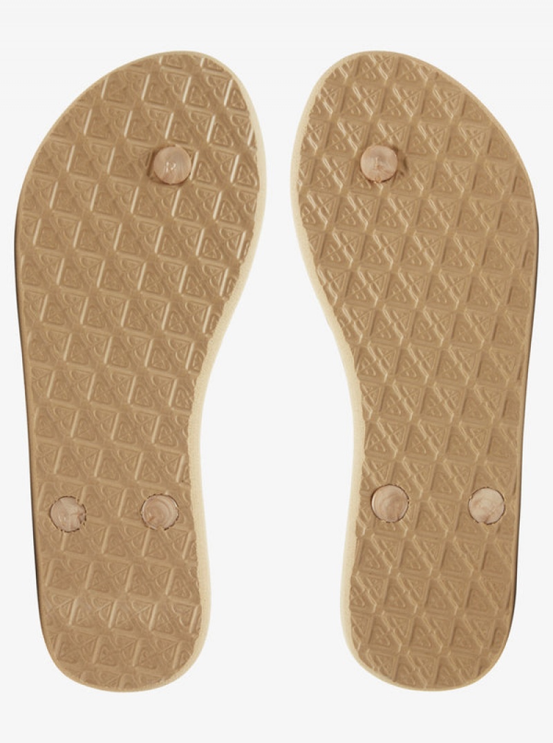 Roxy Viva Flip Flops | 39621-IULV