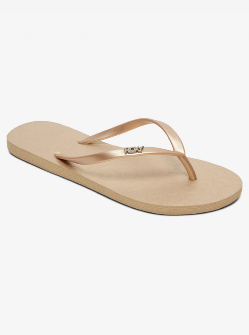 Roxy Viva Flip Flops | 39621-IULV