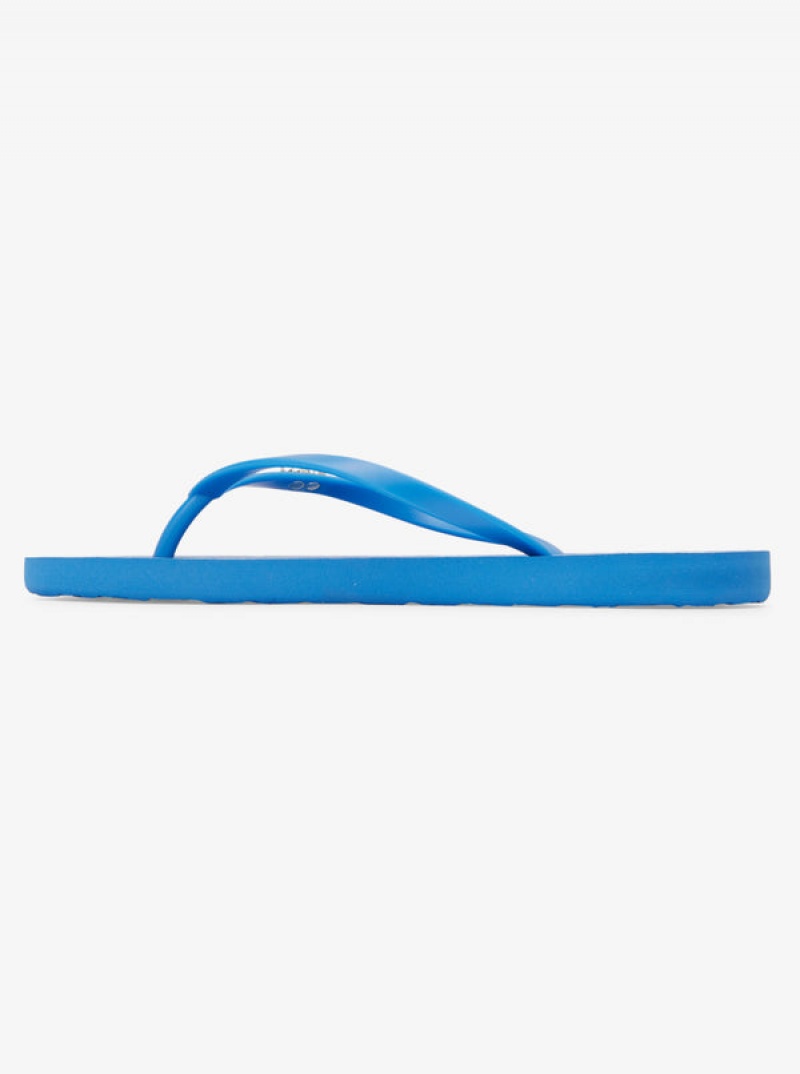 Roxy Viva Stamp Flip Flops | 73591-YZDU