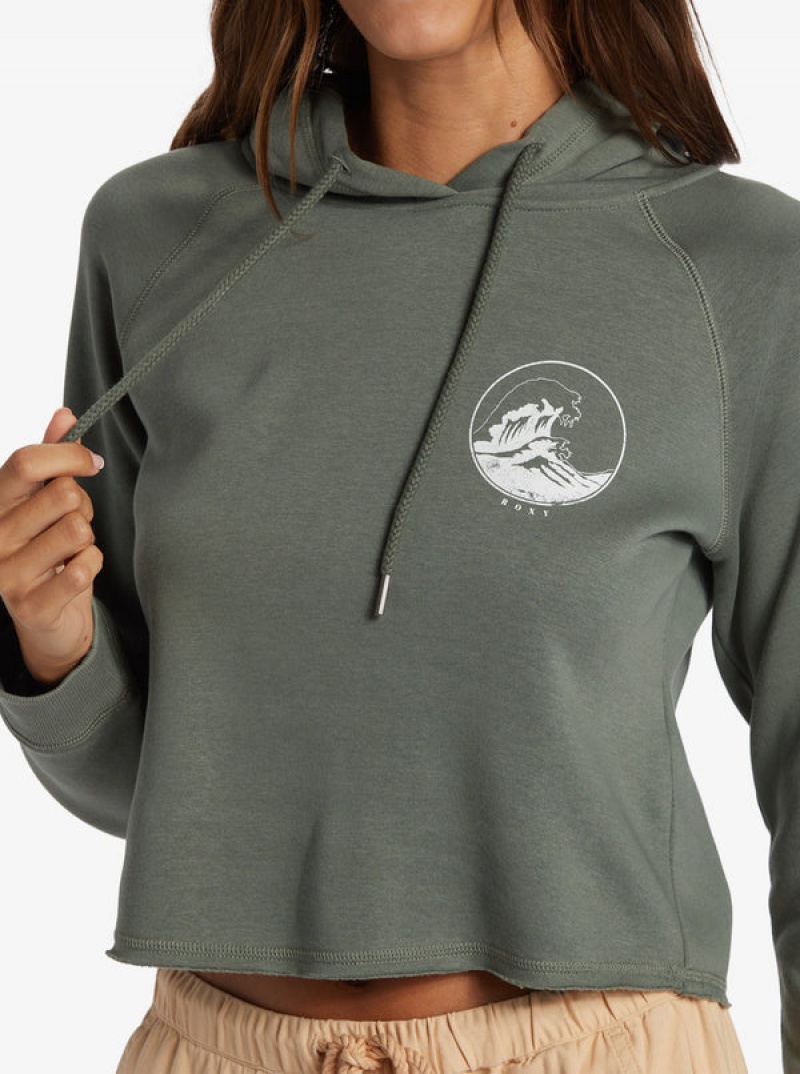 Roxy We Arrived A Pullover Hoodie | 63840-GNKO